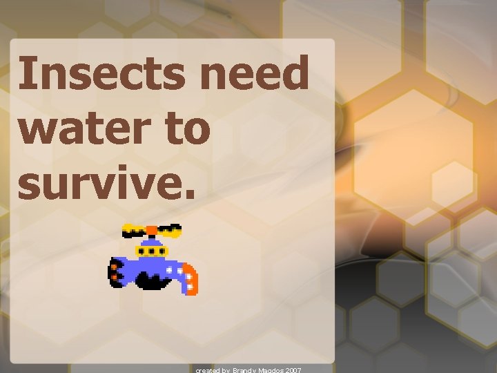 Insects need water to survive. 