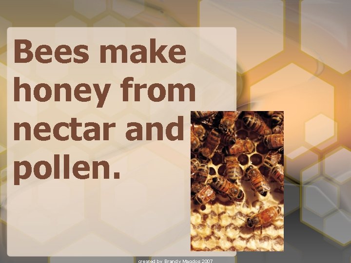 Bees make honey from nectar and pollen. 