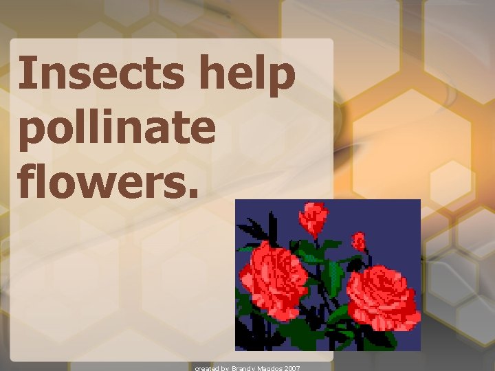 Insects help pollinate flowers. 