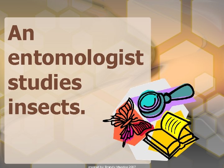 An entomologist studies insects. 