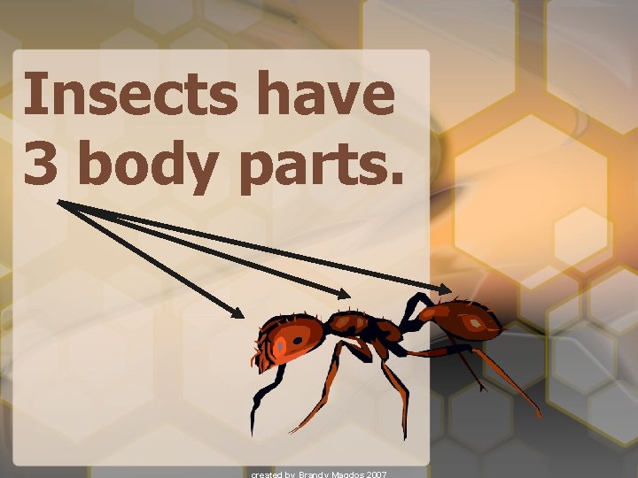 Insects have 3 body parts. 