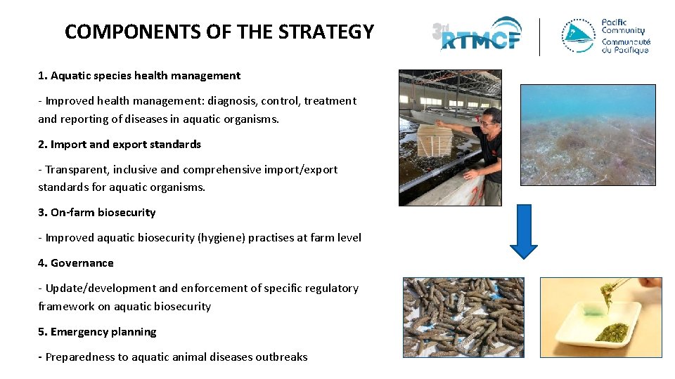 COMPONENTS OF THE STRATEGY 1. Aquatic species health management - Improved health management: diagnosis,