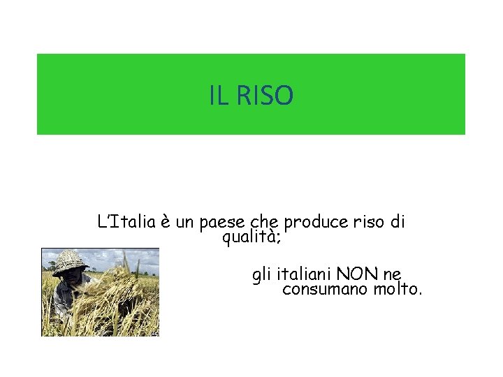 IL RISO L’Italia è un paese che produce riso di qualità; gli italiani NON