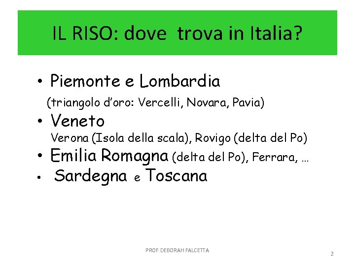 IL RISO: dove trova in Italia? • Piemonte e Lombardia (triangolo d’oro: Vercelli, Novara,