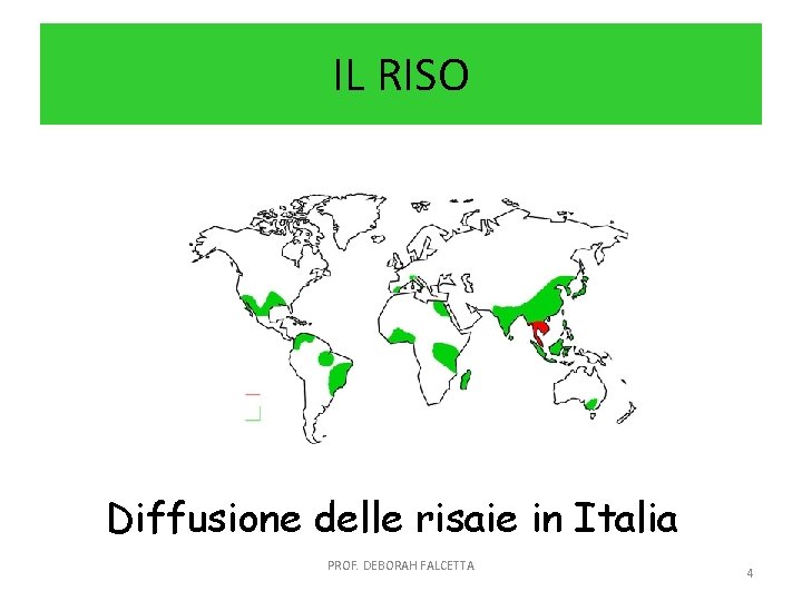 IL RISO Diffusione delle risaie in Italia PROF. DEBORAH FALCETTA 4 