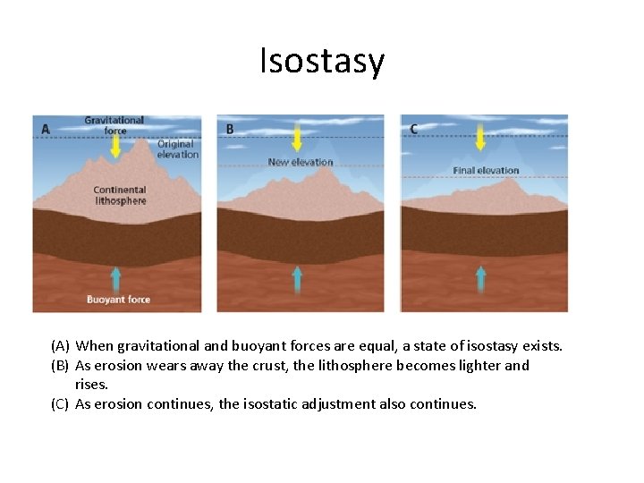 Isostasy (A) When gravitational and buoyant forces are equal, a state of isostasy exists.