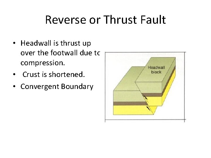 Reverse or Thrust Fault • Headwall is thrust up over the footwall due to