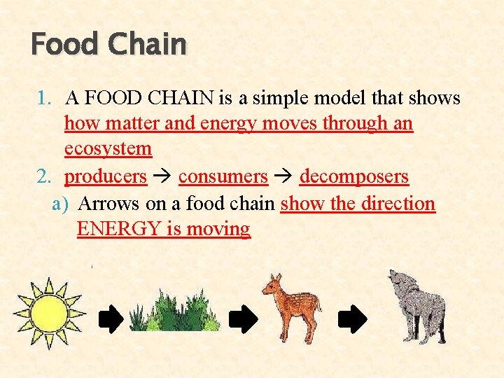Food Chain 1. A FOOD CHAIN is a simple model that shows how matter Food Chain 1. A FOOD CHAIN is a simple model that shows how matter
