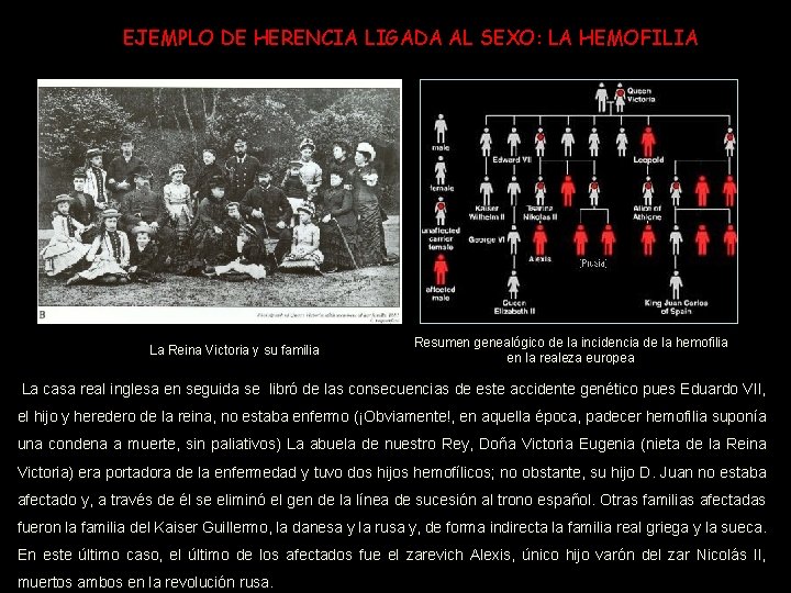 EJEMPLO DE HERENCIA LIGADA AL SEXO: LA HEMOFILIA La Reina Victoria y su familia