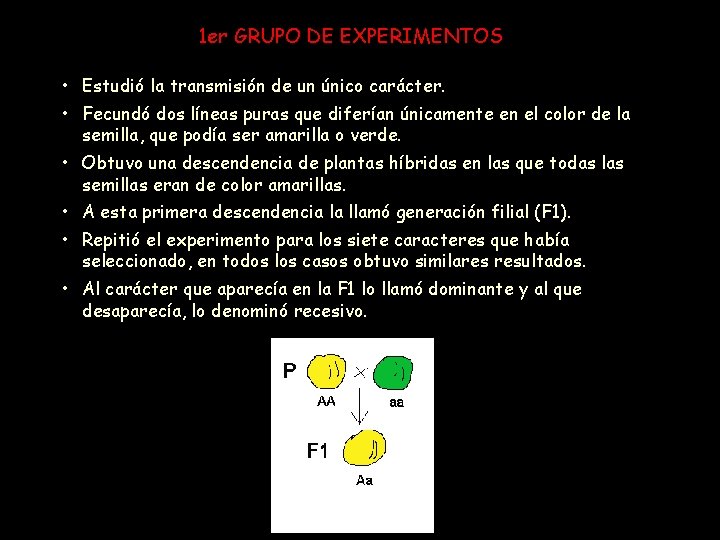 1 er GRUPO DE EXPERIMENTOS • Estudió la transmisión de un único carácter. •