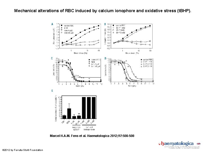 Mechanical alterations of RBC induced by calcium ionophore and oxidative stress (t. BHP). Marcel