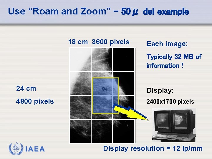Use “Roam and Zoom” - 50μ del example 18 cm 3600 pixels Each image: