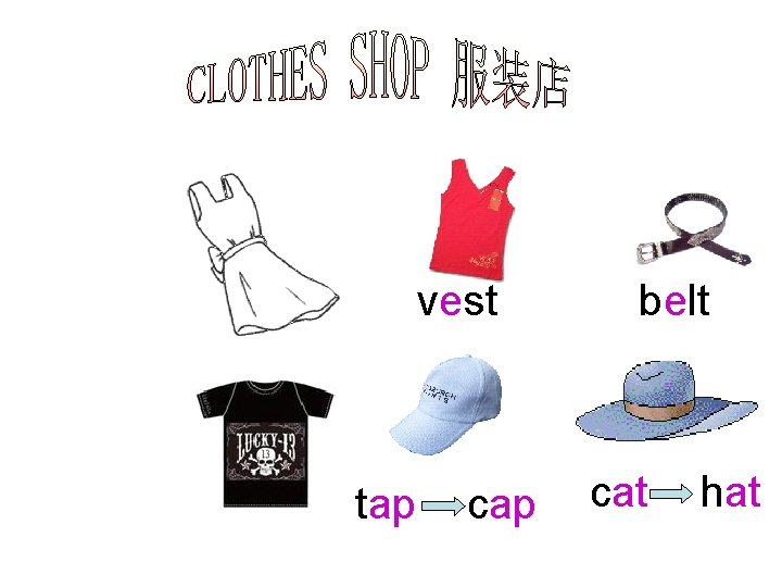 vest tap cap belt cat hat 