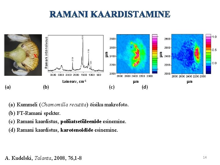 (b) μm μm Ramani intensiivsus (a) Lainearv, cm-1 (c) μm (d) μm (a) Kummeli