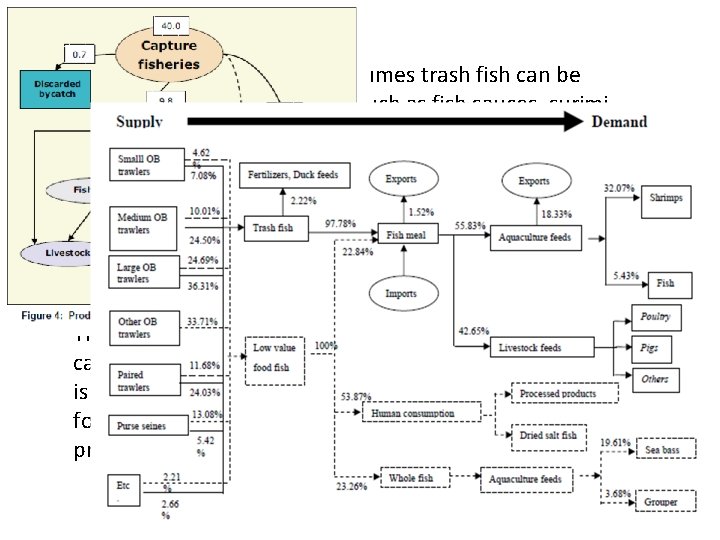 Depending on species and volumes trash fish can be processed into human foods such
