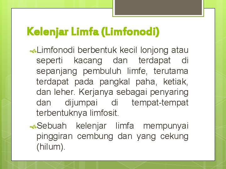 Kelenjar Limfa (Limfonodi) Limfonodi berbentuk kecil lonjong atau seperti kacang dan terdapat di sepanjang