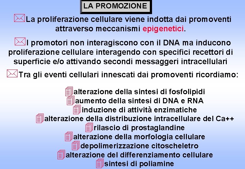 LA PROMOZIONE *La proliferazione cellulare viene indotta dai promoventi attraverso meccanismi epigenetici. *I promotori