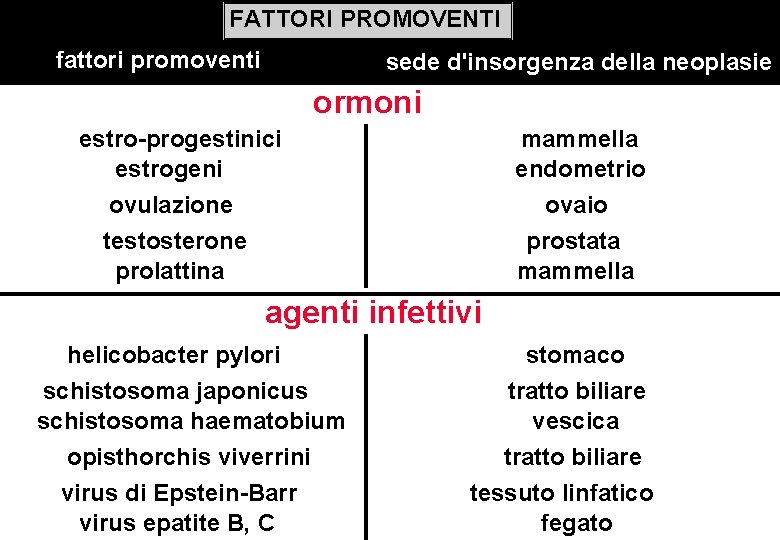 FATTORI PROMOVENTI fattori promoventi sede d'insorgenza della neoplasie ormoni estro-progestinici estrogeni ovulazione testosterone prolattina