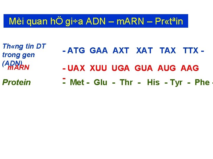 Mèi quan hÖ gi÷a ADN – m. ARN – Pr «tªin Th «ng tin