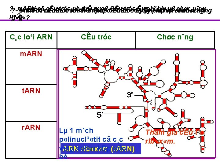 ? cãcã cÊu tróc nh thÕ nµo? CÊu tróc ÊyÊy phïphï hîphîp víivíi chøc