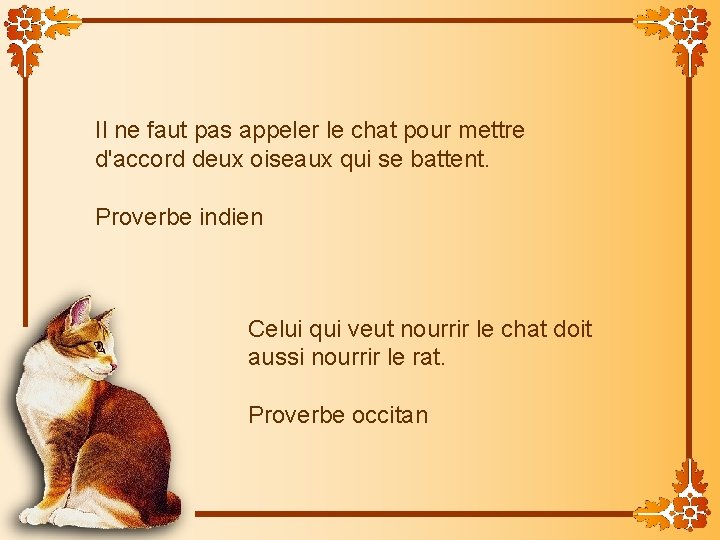 Il ne faut pas appeler le chat pour mettre d'accord deux oiseaux qui se