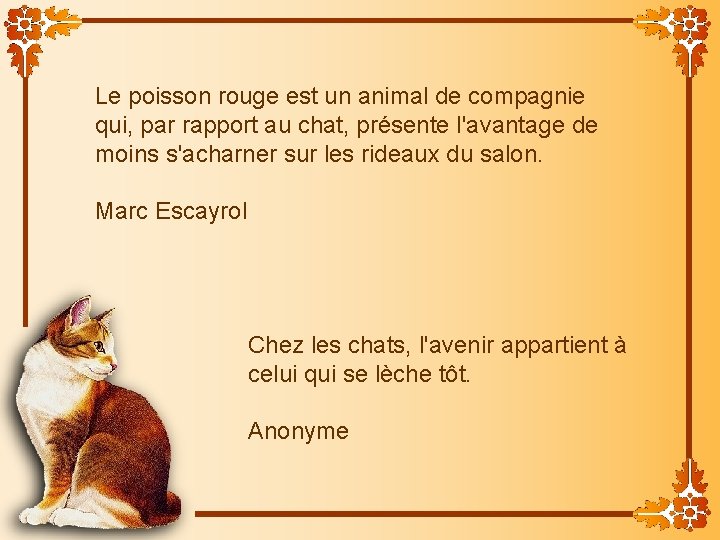 Le poisson rouge est un animal de compagnie qui, par rapport au chat, présente