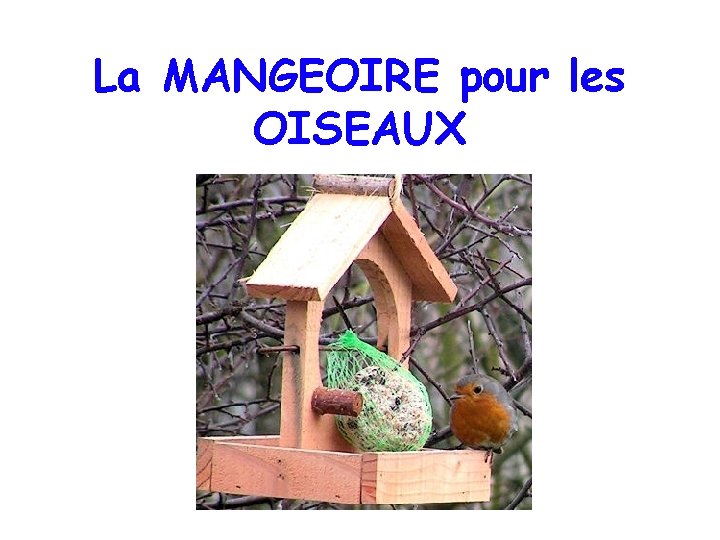 La MANGEOIRE pour les OISEAUX 