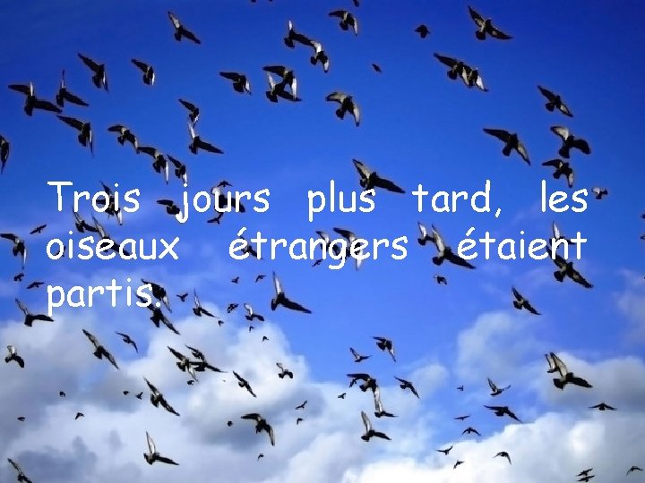 Trois jours plus tard, les oiseaux étrangers étaient partis. 