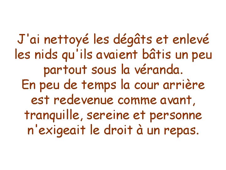 J'ai nettoyé les dégâts et enlevé les nids qu'ils avaient bâtis un peu partout