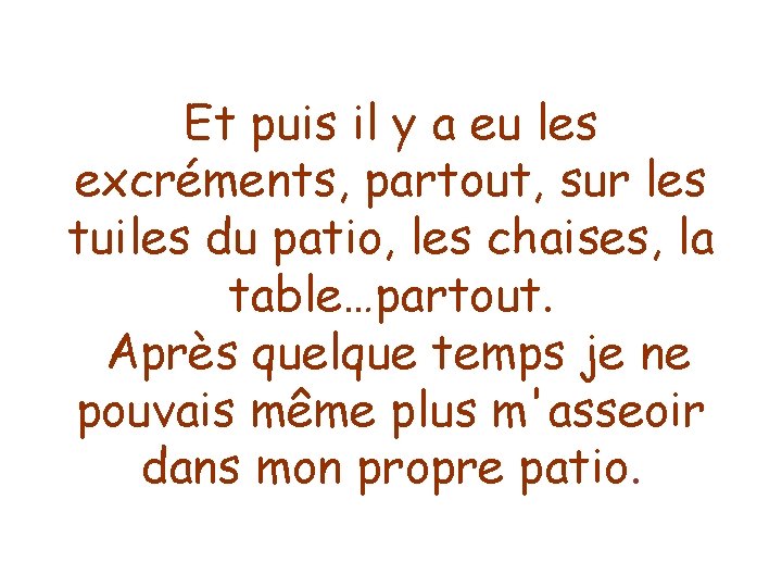 Et puis il y a eu les excréments, partout, sur les tuiles du patio,