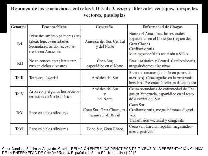 Cura, Carolina, Schijman, Alejandro Gabriel. RELACIÓN ENTRE LOS GENOTIPOS DE T. CRUZI Y LA