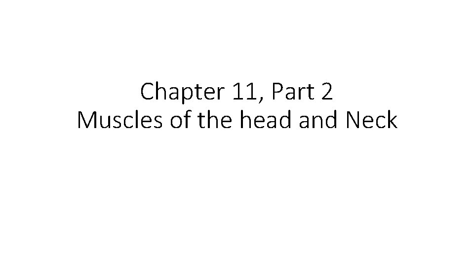 Chapter 11, Part 2 Muscles of the head and Neck Chapter 11, Part 2 Muscles of the head and Neck