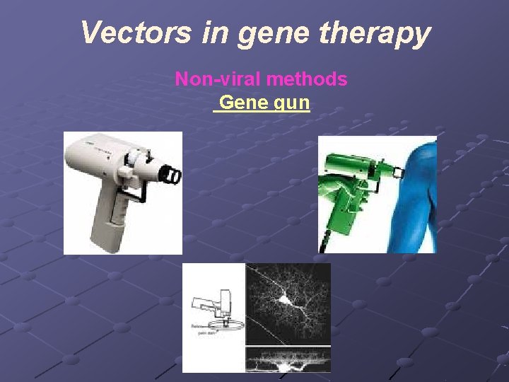 Vectors in gene therapy Non-viral methods Gene gun 