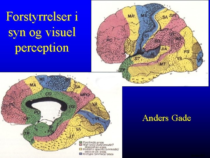 Forstyrrelser i syn og visuel perception . Anders Gade Mesulam 1985. 
