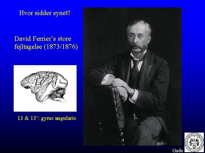 Hvor sidder synet? David Ferrier’s store fejltagelse (1873/1876) 13 & 13’: gyrus angularis Gade