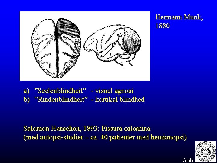 Hermann Munk, 1880 a) ”Seelenblindheit” - visuel agnosi b) ”Rindenblindheit” - kortikal blindhed Salomon