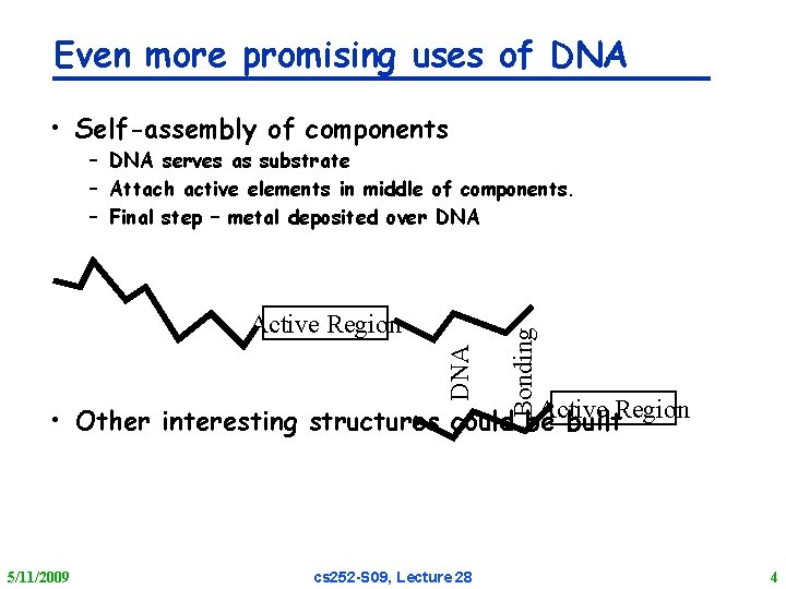 Even more promising uses of DNA • Self-assembly of components DNA Active Region Bonding