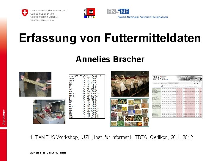 Eidgenössisches Volkswirtschaftsdepartement EVD Forschungsanstalt Agroscope Liebefeld-Posieux ALP Erfassung von Futtermitteldaten Annelies Bracher 1. TAMEUS