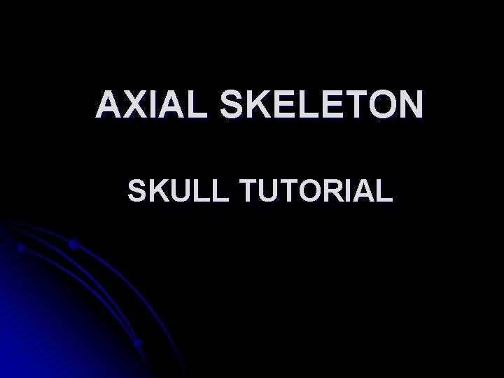 AXIAL SKELETON SKULL TUTORIAL 