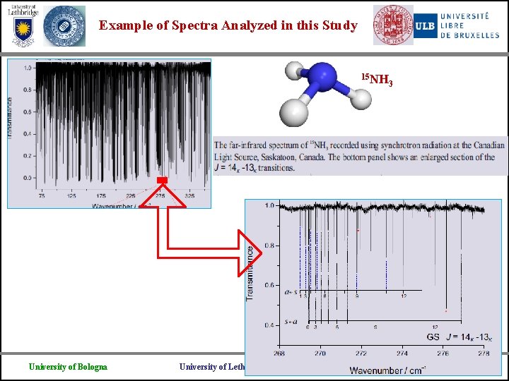 Example of Spectra Analyzed in this Study 15 NH University of Bologna University of