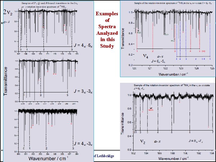 Examples of Spectra Analyzed in this Study University of Bologna University of Lethbridge Universite