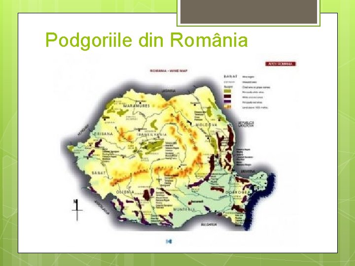 Podgoriile din România 