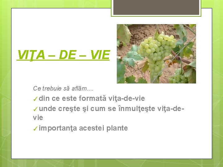 VIŢA – DE – VIE Ce trebuie să aflăm. . ✓din ce este formată