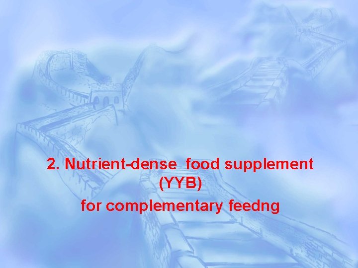 2. Nutrient-dense food supplement (YYB) for complementary feedng 