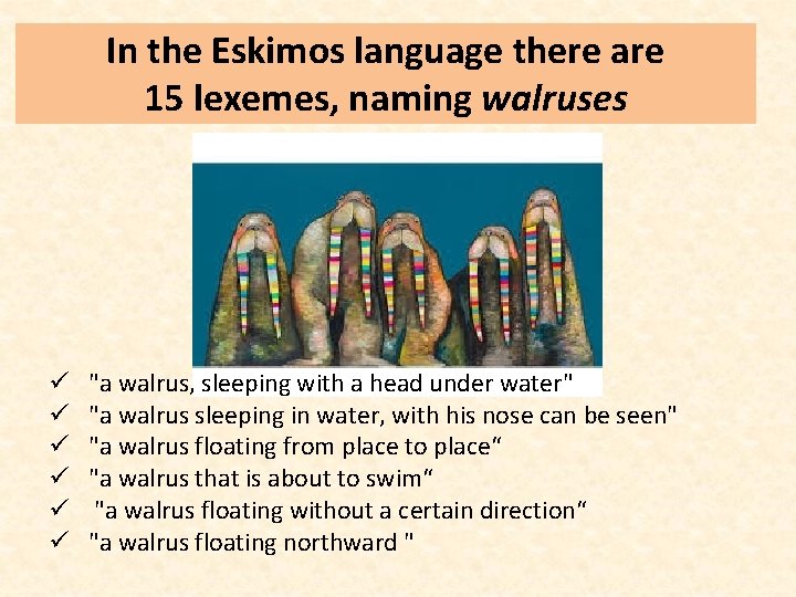 In the Eskimos language there are 15 lexemes, naming walruses ü ü ü "a