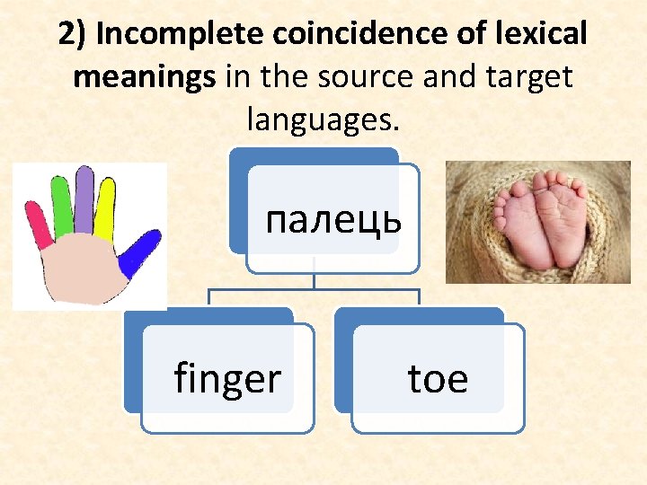 2) Incomplete coincidence of lexical meanings in the source and target languages. палець finger