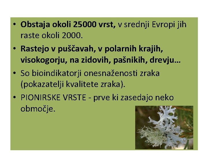  • Obstaja okoli 25000 vrst, v srednji Evropi jih raste okoli 2000. •