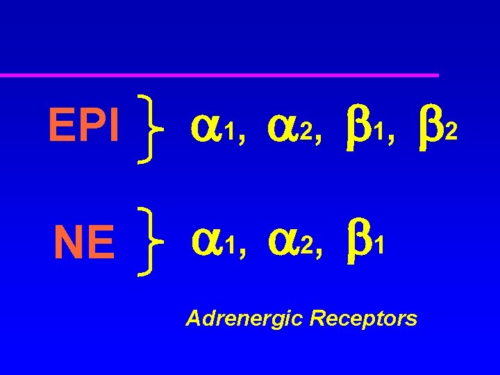 EPI 1, 2, 1, 2 NE 1, 2, 1 Adrenergic Receptors 