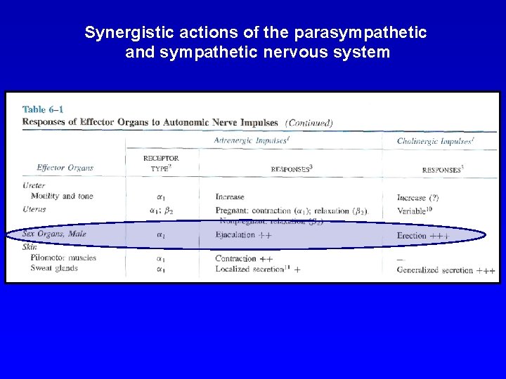 Synergistic actions of the parasympathetic and sympathetic nervous system 