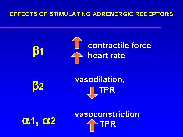 EFFECTS OF STIMULATING ADRENERGIC RECEPTORS 1 2 1, 2 contractile force heart rate vasodilation,